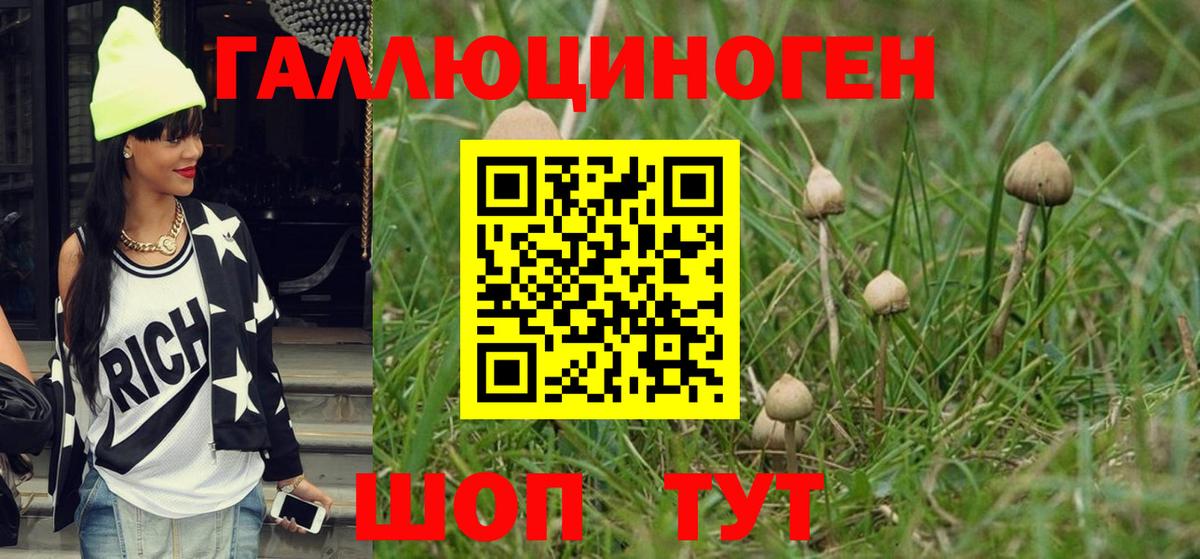 Псилоцибиновые грибы мухоморы  где продают наркотики  Елец  Вход с VPN 