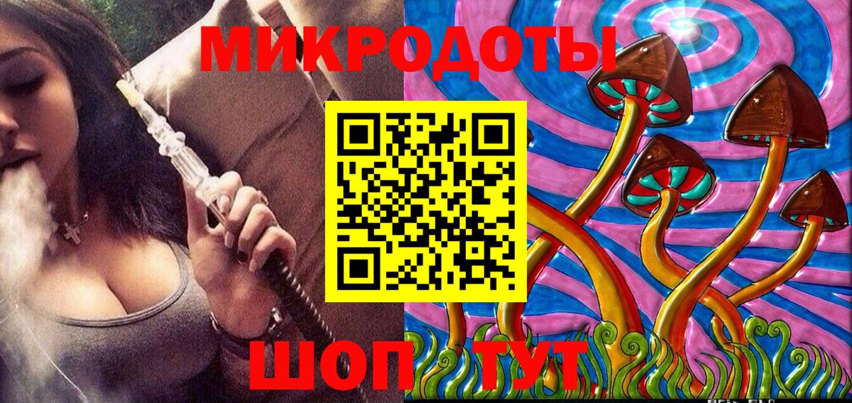 Галлюциногенные грибы Psilocybe Елец